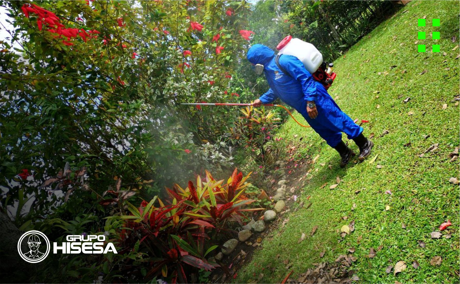 Grupo HISESA | Fumigación y Manejo de plagas